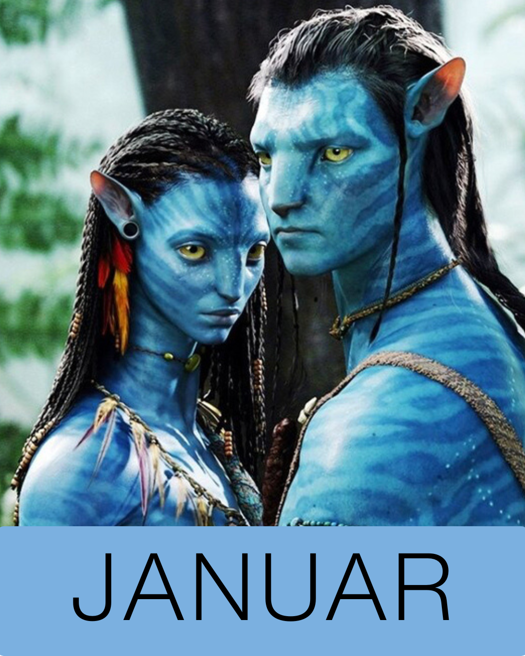 SASSY YARNS GARNKLUB